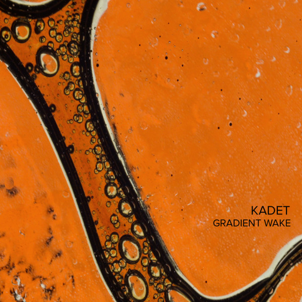 Gradient Wake album